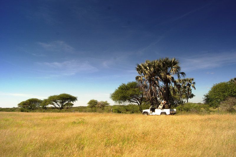 Dornhuegel Guestfarm Ξενοδοχείο Grootfontein Εξωτερικό φωτογραφία