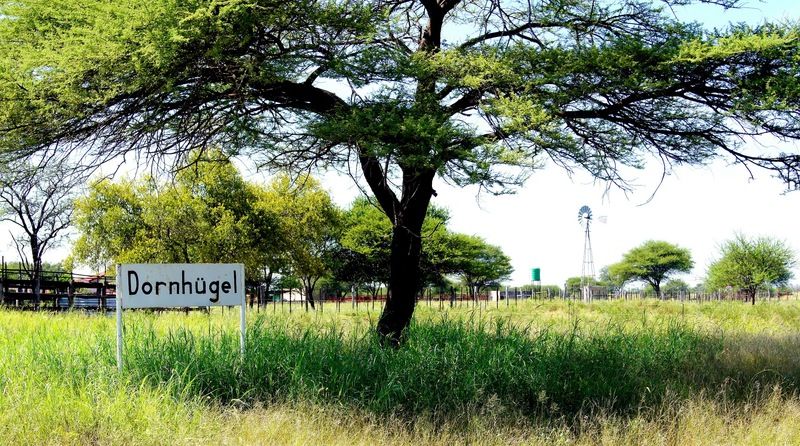 Dornhuegel Guestfarm Ξενοδοχείο Grootfontein Εξωτερικό φωτογραφία