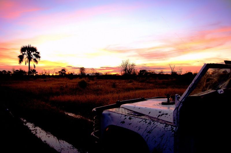 Dornhuegel Guestfarm Ξενοδοχείο Grootfontein Εξωτερικό φωτογραφία