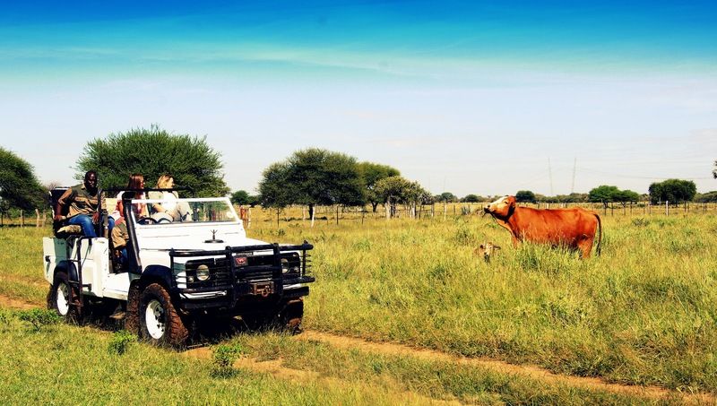 Dornhuegel Guestfarm Ξενοδοχείο Grootfontein Εξωτερικό φωτογραφία